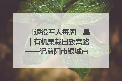 退役军人每周一星｜有机果栽出致富路——记益阳市银城南湖蔬果农民专业合作社总经理晏桂明