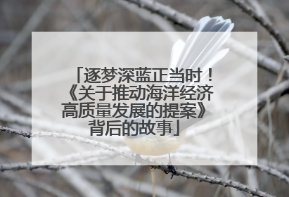 逐梦深蓝正当时！《关于推动海洋经济高质量发展的提案》背后的故事