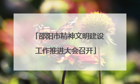 邵阳市精神文明建设工作推进大会召开