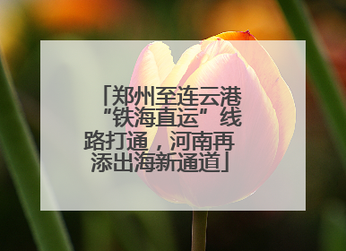 郑州至连云港“铁海直运”线路打通，河南再添出海新通道