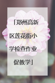 郑州高新区莲花街小学检查作业促教学