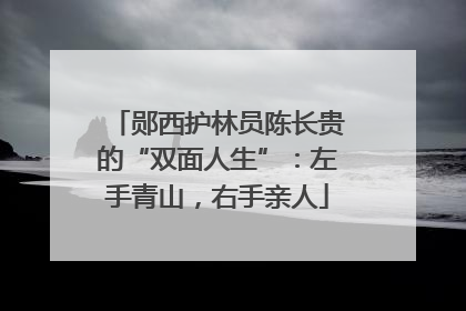 郧西护林员陈长贵的“双面人生”：左手青山，右手亲人
