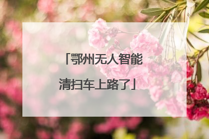 鄂州无人智能清扫车上路了