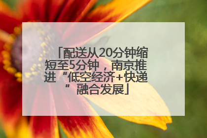 配送从20分钟缩短至5分钟，南京推进“低空经济+快递”融合发展