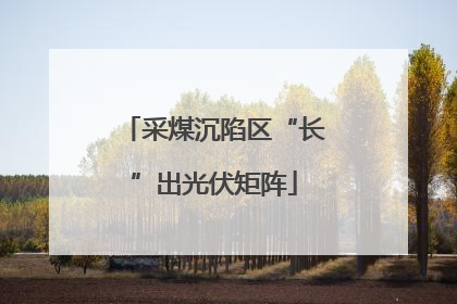 采煤沉陷区“长”出光伏矩阵
