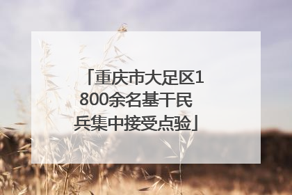 重庆市大足区1800余名基干民兵集中接受点验