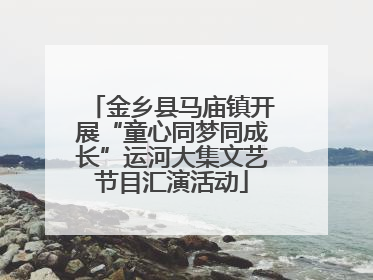 金乡县马庙镇开展“童心同梦同成长”运河大集文艺节目汇演活动