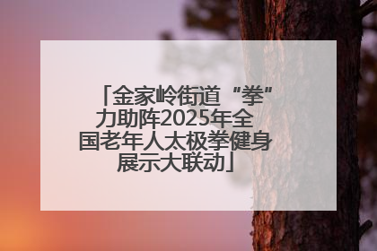 金家岭街道“拳”力助阵2025年全国老年人太极拳健身展示大联动