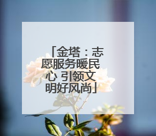 金塔：志愿服务暖民心 引领文明好风尚
