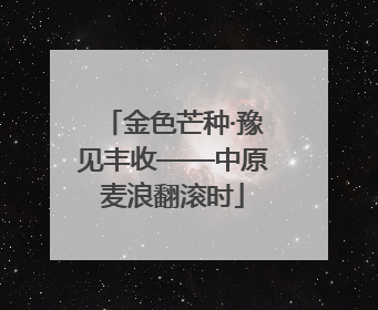 金色芒种·豫见丰收——中原麦浪翻滚时
