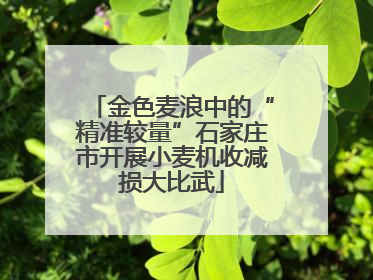 金色麦浪中的“精准较量”石家庄市开展小麦机收减损大比武