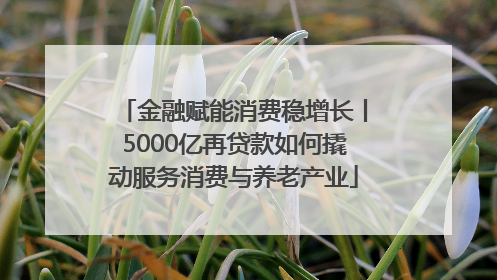 金融赋能消费稳增长丨5000亿再贷款如何撬动服务消费与养老产业