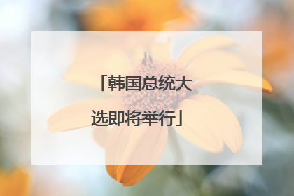 韩国总统大选即将举行