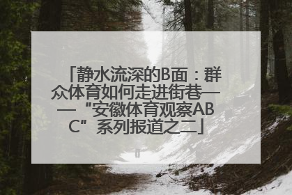 静水流深的B面：群众体育如何走进街巷——“安徽体育观察ABC”系列报道之二