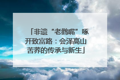 非遗“老鹳嘴”啄开致富路：会泽高山苦荞的传承与新生