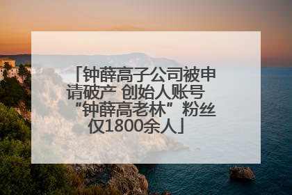 钟薛高子公司被申请破产 创始人账号“钟薛高老林”粉丝仅1800余人