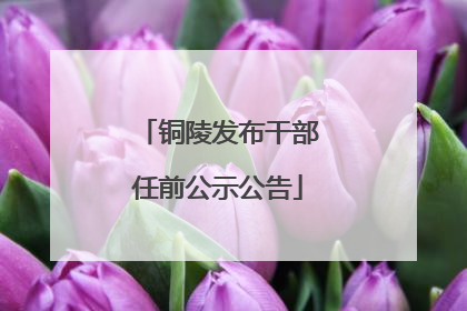 铜陵发布干部任前公示公告