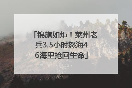 锦旗如炬！莱州老兵3.5小时怒海46海里抢回生命