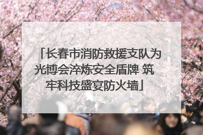 长春市消防救援支队为光博会淬炼安全盾牌 筑牢科技盛宴防火墙