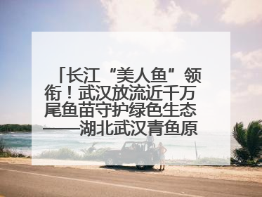 长江“美人鱼”领衔！武汉放流近千万尾鱼苗守护绿色生态——湖北武汉青鱼原种场参加2025年“全国放鱼日”增殖放流活动