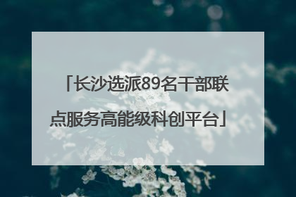 长沙选派89名干部联点服务高能级科创平台