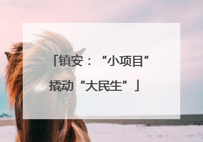 镇安：“小项目”撬动“大民生”