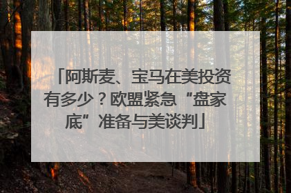 阿斯麦、宝马在美投资有多少？欧盟紧急“盘家底”准备与美谈判