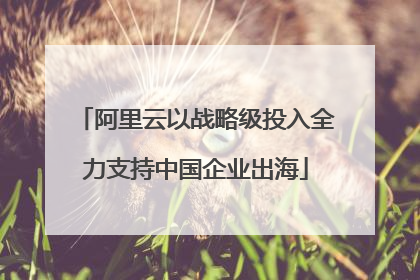 阿里云以战略级投入全力支持中国企业出海