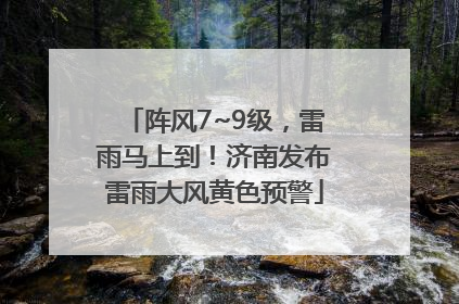 阵风7~9级，雷雨马上到！济南发布雷雨大风黄色预警