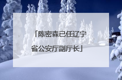 陈密森已任辽宁省公安厅副厅长