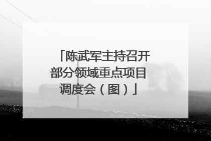 陈武军主持召开部分领域重点项目调度会（图）