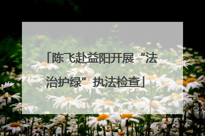 陈飞赴益阳开展“法治护绿”执法检查