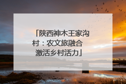 陕西神木王家沟村：农文旅融合 激活乡村活力