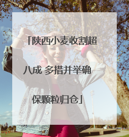 陕西小麦收割超八成 多措并举确保颗粒归仓