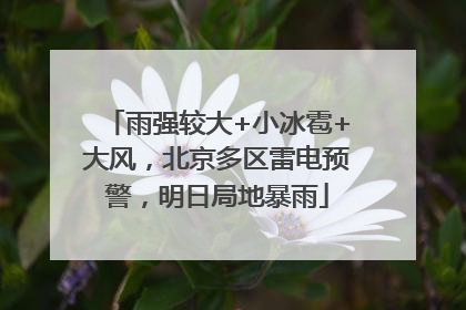 雨强较大+小冰雹+大风，北京多区雷电预警，明日局地暴雨