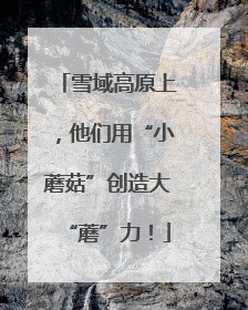 雪域高原上，他们用“小蘑菇”创造大“蘑”力！
