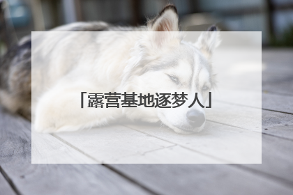 露营基地逐梦人