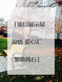 项目展示显温情 爱心汇聚助残行