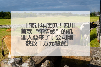 预计年底见！四川首款“懂情感”的机器人要来了，公司刚获数千万元融资