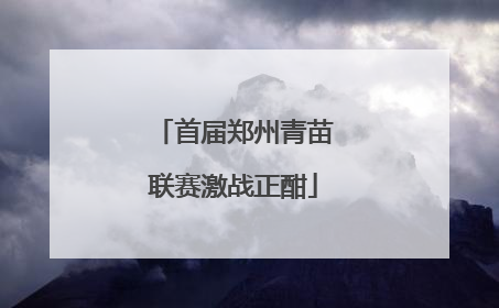 首届郑州青苗联赛激战正酣