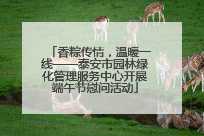 香粽传情，温暖一线——泰安市园林绿化管理服务中心开展端午节慰问活动