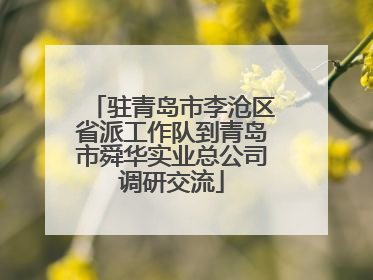 驻青岛市李沧区省派工作队到青岛市舜华实业总公司调研交流