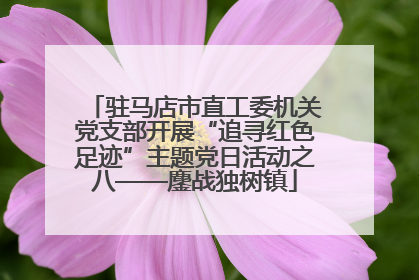 驻马店市直工委机关党支部开展“追寻红色足迹”主题党日活动之八——鏖战独树镇