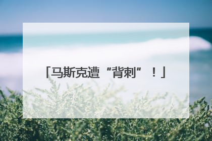 马斯克遭“背刺”！
