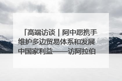 高端访谈｜阿中愿携手维护多边贸易体系和发展中国家利益——访阿拉伯议会议长亚马希