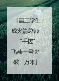 高二学生成火箭总师 “手搓”飞燕一号突破一万米