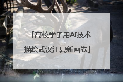 高校学子用AI技术描绘武汉江夏新画卷