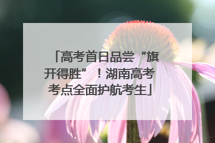 高考首日品尝“旗开得胜”！湖南高考考点全面护航考生