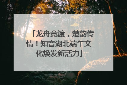 龙舟竞渡，楚韵传情！知音湖北端午文化焕发新活力