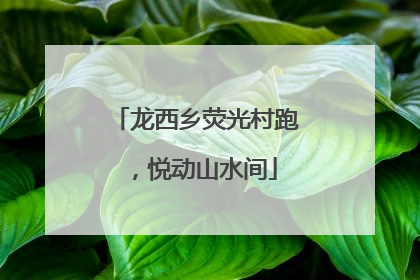 龙西乡荧光村跑，悦动山水间